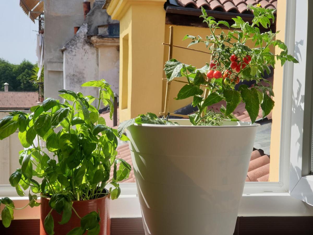 Romantica Mansarda Nel Cuore Di Apartamento Turín